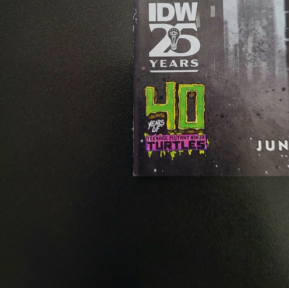 Teenage Mutant Ninja Turtles: Nightwatcher #1 - Picture 4 of 8